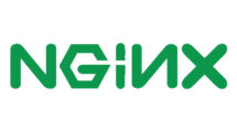 NGINX logo rgb large