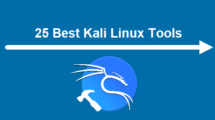 kali linux