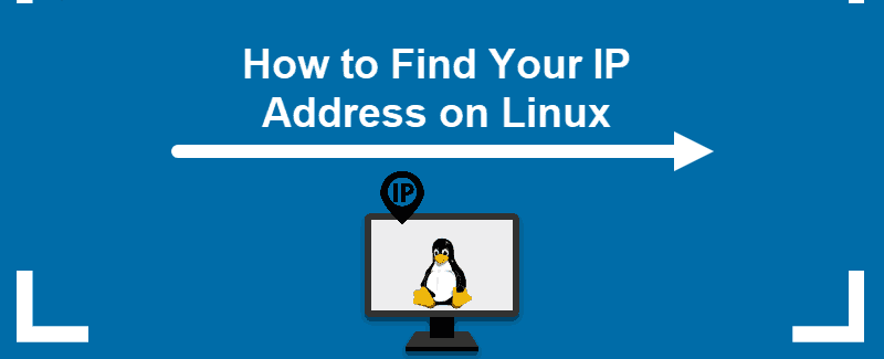 IP Address