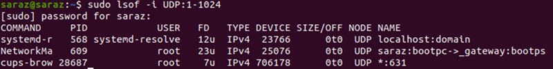 sudo lsof -i UDP 1-1024 Terminal Output