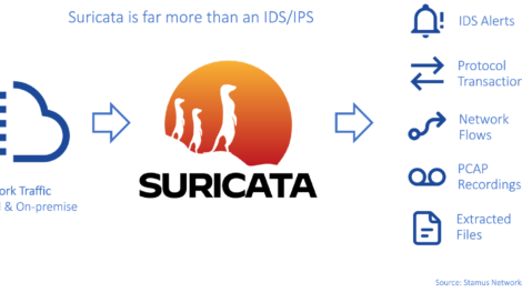 Suricata