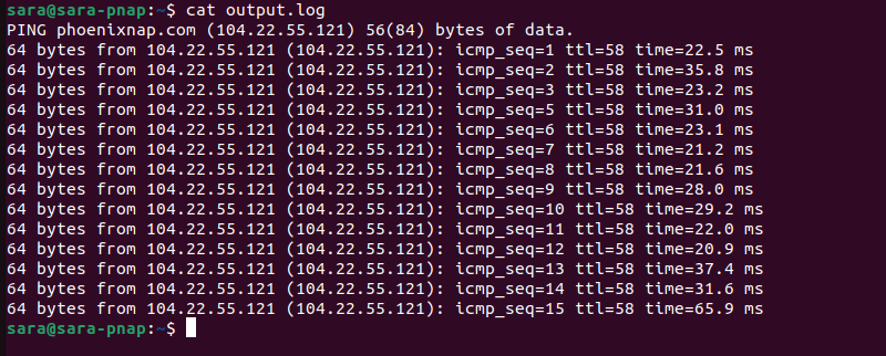 cat output.log terminal output