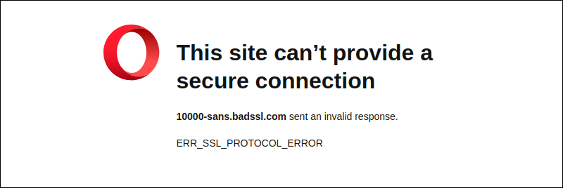 The SSL error displayed in Opera.