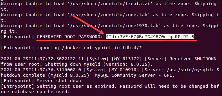 Find generated root password for MySQL Docker container.