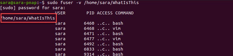 fuser Command whatisthis Directory Verbose Terminal Output