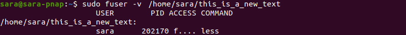 fuser Showing a File Open With the Less Command