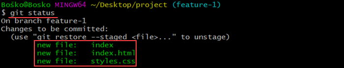 Running git status to see which files are being tracked, ready for commit, or modified.