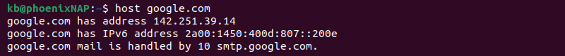 host google.com terminal output
