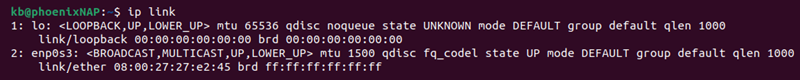 ip link terminal output