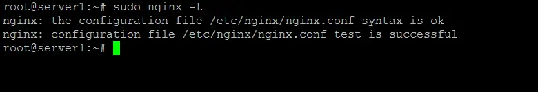 nginx syntax check successfull