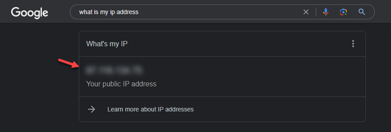 Public IP address Google search output