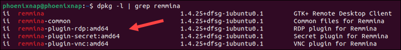Installed Remmina packages in Ubuntu 22.04.