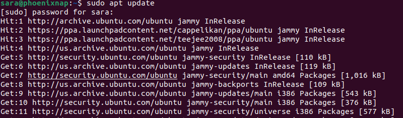 sudo apt update terminal output