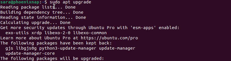 sudo apt upgrade terminal output