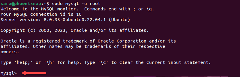 sudo mysql -u root terminal output