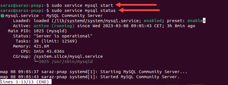 sudo service mysql start and sudo service mysql status terminal output