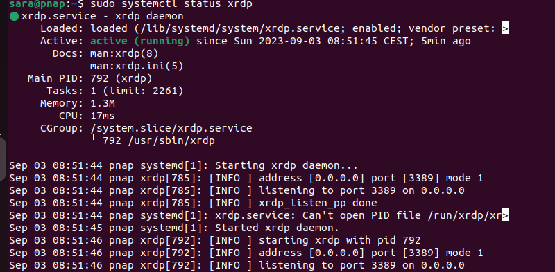 sudo systemctl status xrdp terminal output.