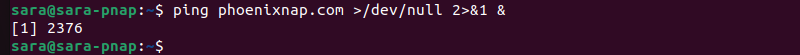 system redirect ping website /dev/null terminal output