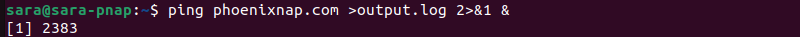 system redirect ping website output.log terminal output