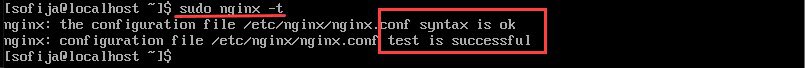 testing nginx configuration with output that the test is sucessful