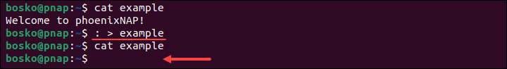 Truncating a file through shell redirection and the : symbol.