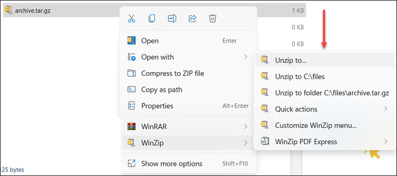 Unzip to different options window