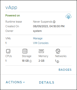 vApp overview actions details UI