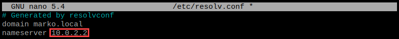 Obtaining the DNS address on a Raspberry Pi machine.