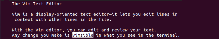 Vim Substitute Command Replacing Words Nested in Other Words Terminal Output