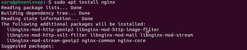 sudo apt install nginx terminal output