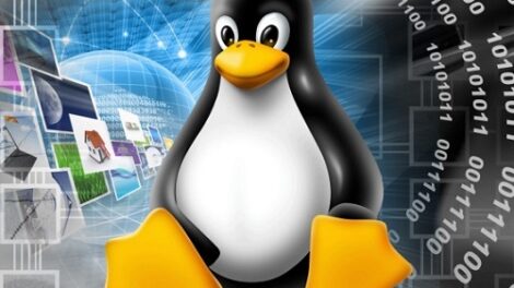 1489939951Linux.jpg