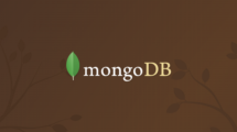 1490893172mongodb_logo.png