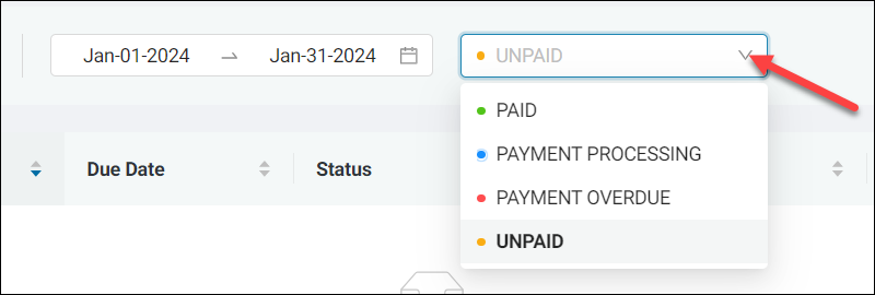 Accessing Invoice type options in the Filter menu.