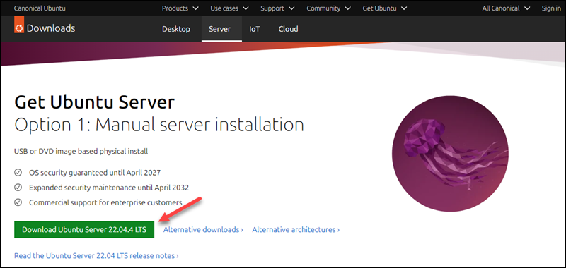 Ubuntu server download page download button