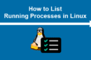 How to list running processes in Linux